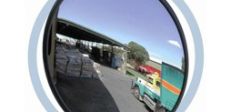 Security Mirrors